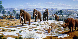 blog_img2